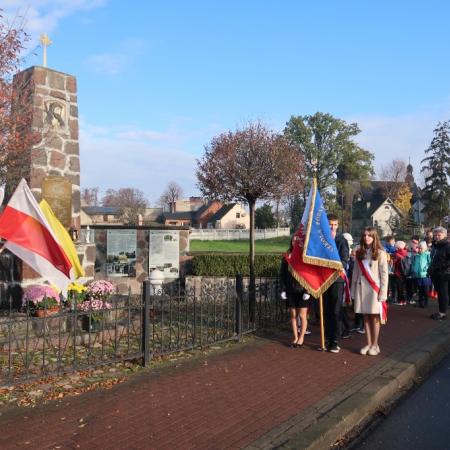 Wyświetl org. rozmiar