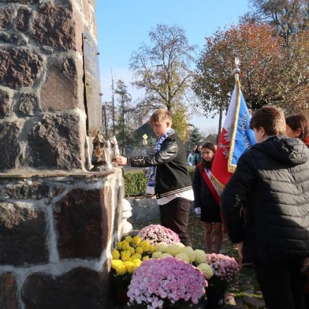Wyświetl org. rozmiar