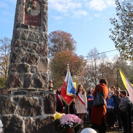 Wyświetl org. rozmiar