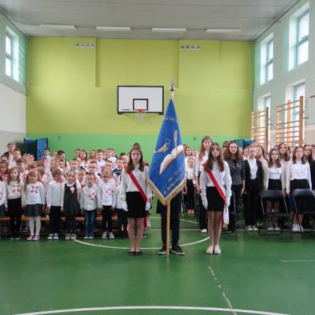 Wyświetl org. rozmiar