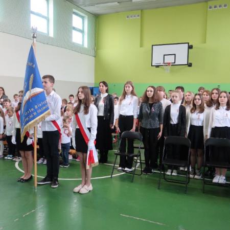Wyświetl org. rozmiar