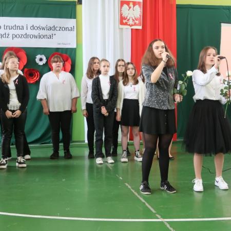 Wyświetl org. rozmiar