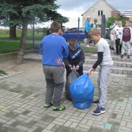 Wyświetl org. rozmiar
