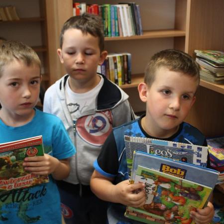 Wyświetl org. rozmiar