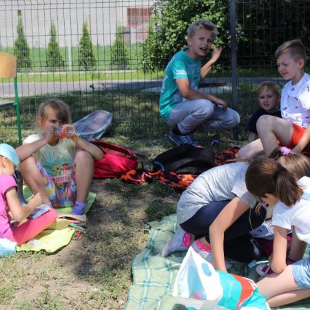 Wyświetl org. rozmiar
