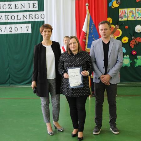 Wyświetl org. rozmiar