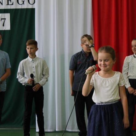 Wyświetl org. rozmiar