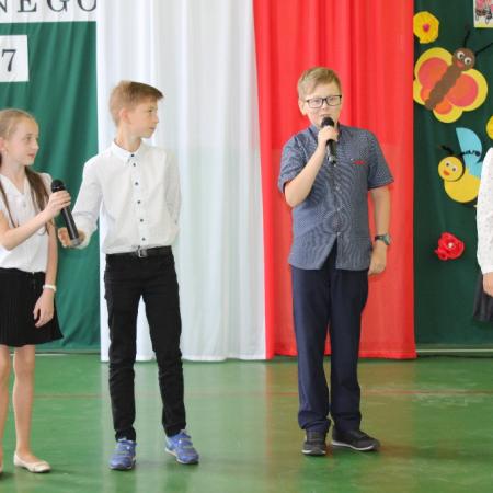 Wyświetl org. rozmiar