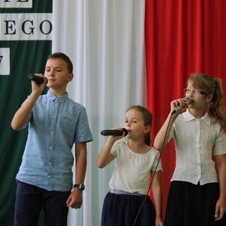 Wyświetl org. rozmiar