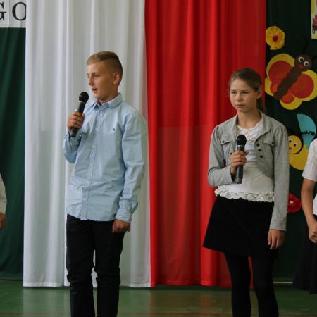 Wyświetl org. rozmiar