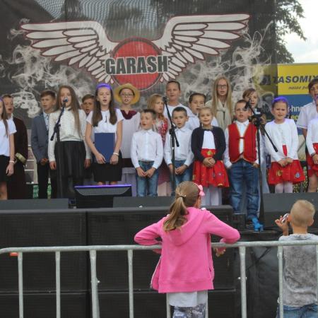 Wyświetl org. rozmiar