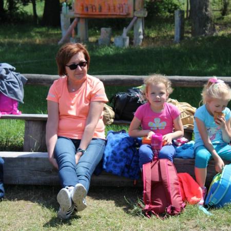 Wyświetl org. rozmiar