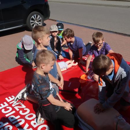 Wyświetl org. rozmiar