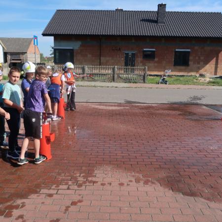 Wyświetl org. rozmiar