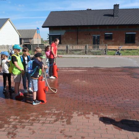 Wyświetl org. rozmiar