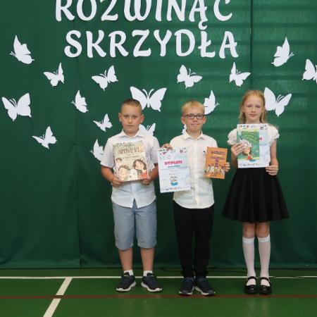 Wyświetl org. rozmiar