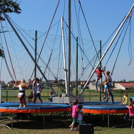 Wyświetl org. rozmiar
