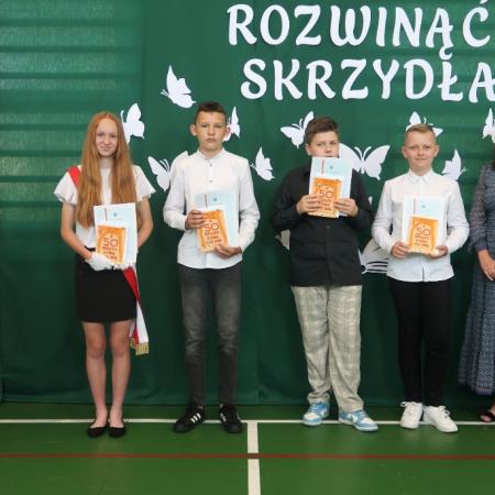 Wyświetl org. rozmiar