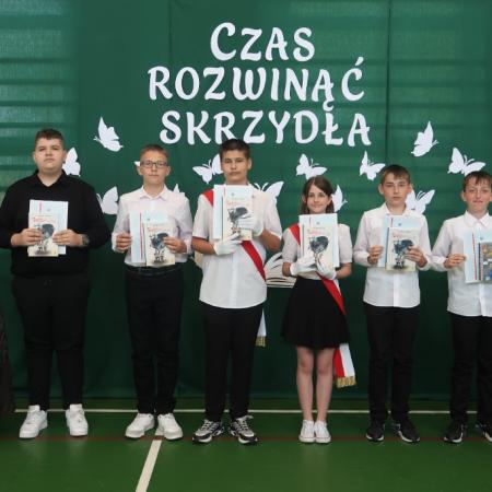 Wyświetl org. rozmiar