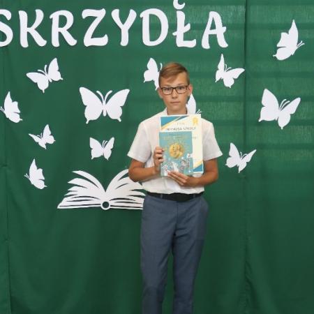 Wyświetl org. rozmiar