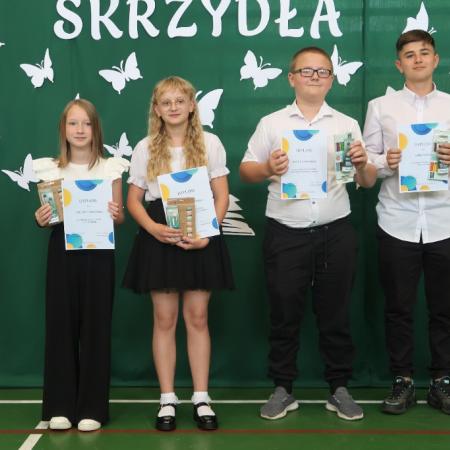 Wyświetl org. rozmiar