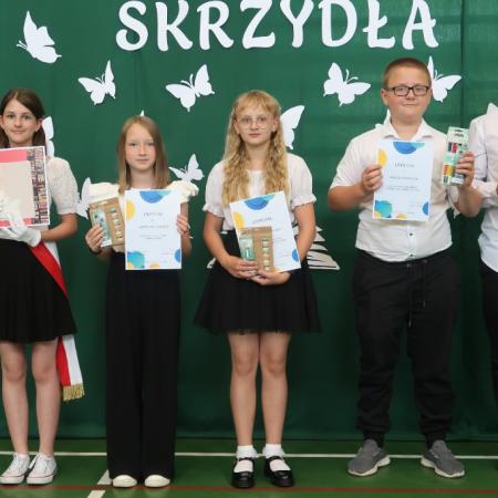 Wyświetl org. rozmiar