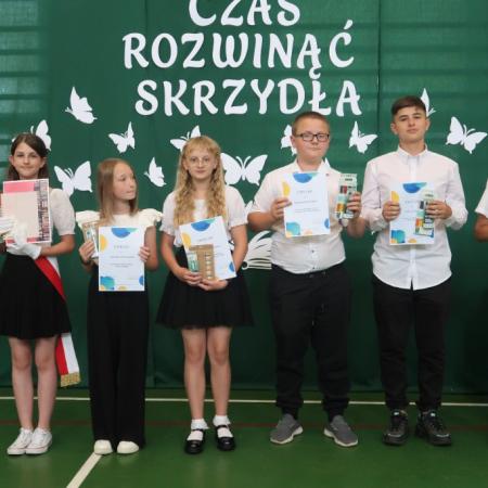 Wyświetl org. rozmiar