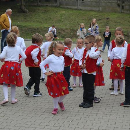 Wyświetl org. rozmiar