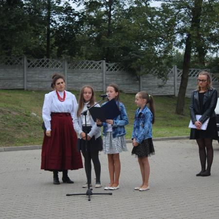Wyświetl org. rozmiar