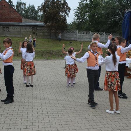Wyświetl org. rozmiar
