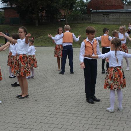 Wyświetl org. rozmiar