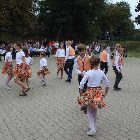 Wyświetl org. rozmiar