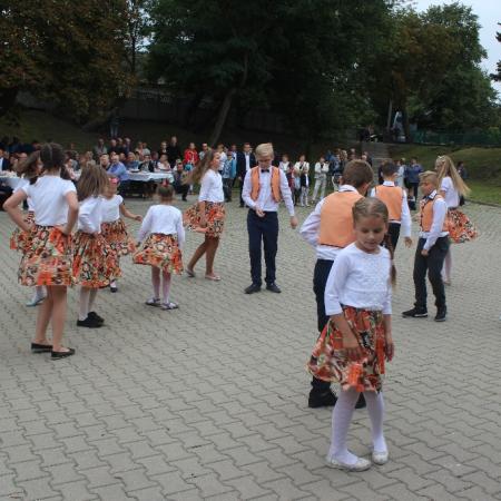 Wyświetl org. rozmiar