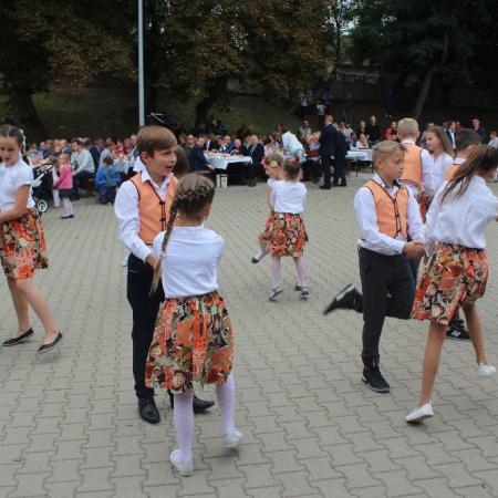 Wyświetl org. rozmiar