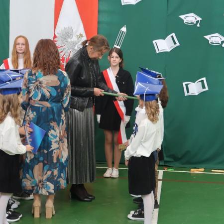 Wyświetl org. rozmiar