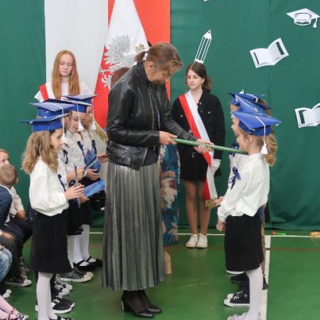 Wyświetl org. rozmiar