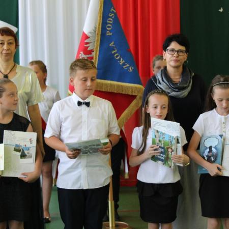 Wyświetl org. rozmiar