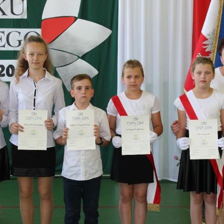 Wyświetl org. rozmiar