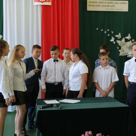 Wyświetl org. rozmiar