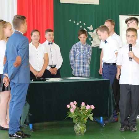 Wyświetl org. rozmiar