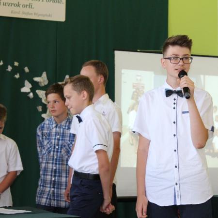 Wyświetl org. rozmiar