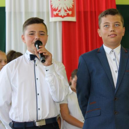 Wyświetl org. rozmiar
