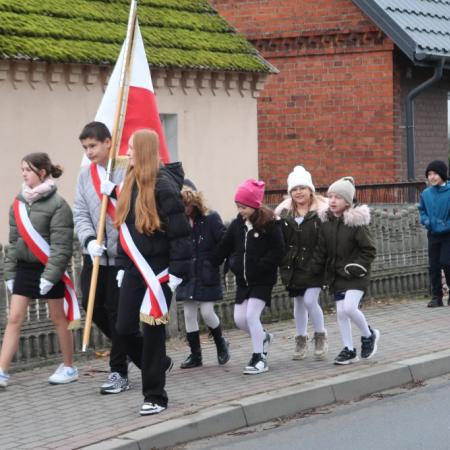 Wyświetl org. rozmiar