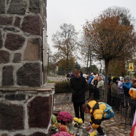 Wyświetl org. rozmiar