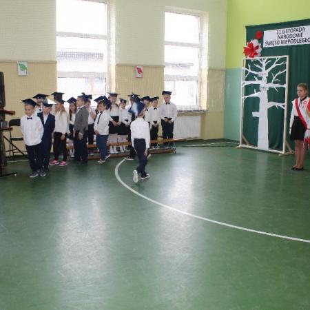 Wyświetl org. rozmiar