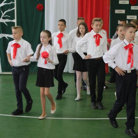 Wyświetl org. rozmiar