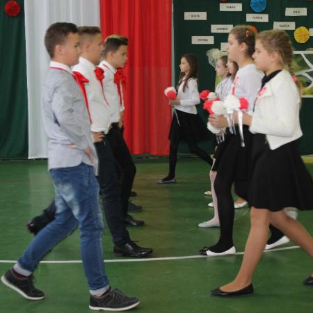 Wyświetl org. rozmiar