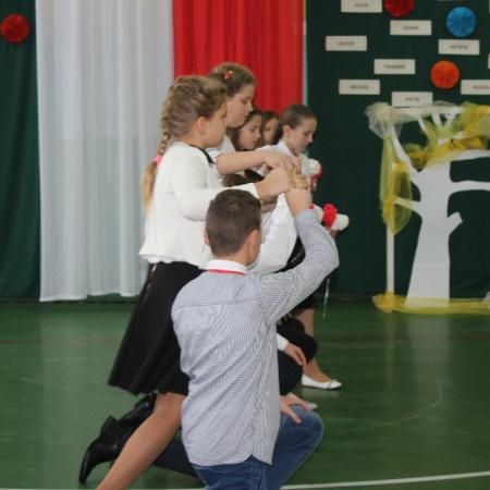 Wyświetl org. rozmiar