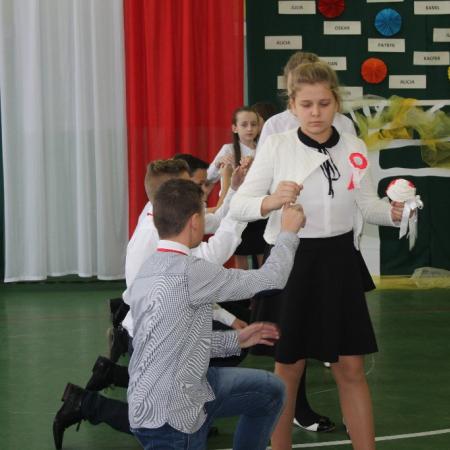 Wyświetl org. rozmiar