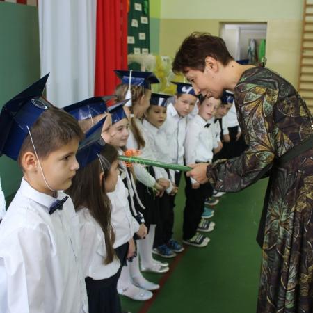 Wyświetl org. rozmiar